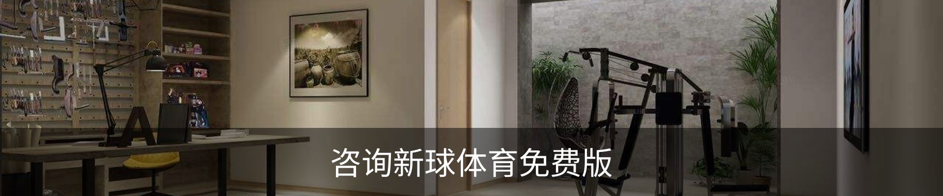 咨询新球体育免费版