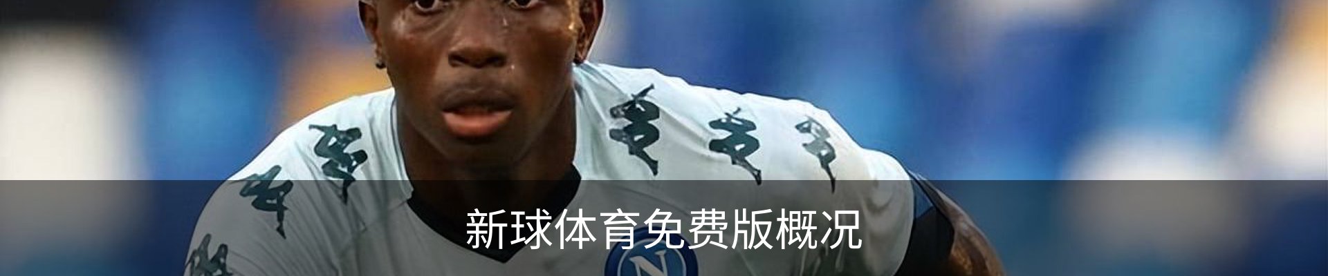 新球体育免费版概况